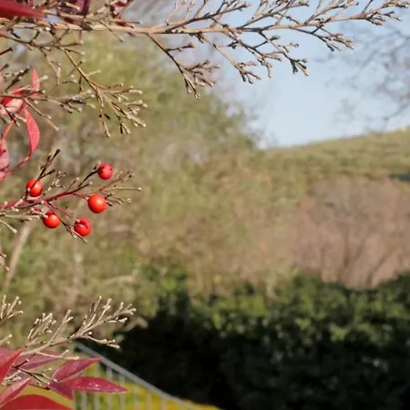 Les D Hotes De Au Pays Des Lavandes Et Proche Des Gorges Du Verdon Konukevi