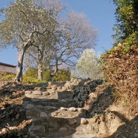 Les D Hotes De Au Pays Des Lavandes Et Proche Des Gorges Du Verdon Konukevi 3*