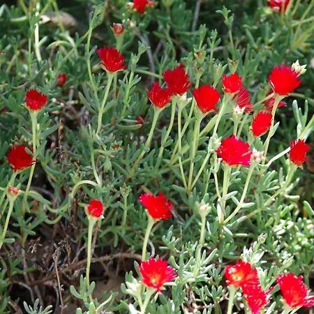 Les D Hotes De Au Pays Des Lavandes Et Proche Des Gorges Du Verdon