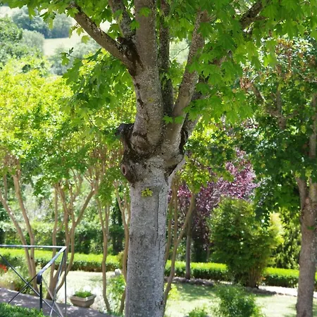 Les D Hotes De Au Pays Des Lavandes Et Proche Des Gorges Du Verdon 3*