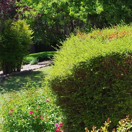 Les D Hotes De Au Pays Des Lavandes Et Proche Des Gorges Du Verdon Konukevi