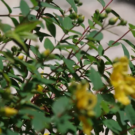 Les D Hotes De Au Pays Des Lavandes Et Proche Des Gorges Du Verdon