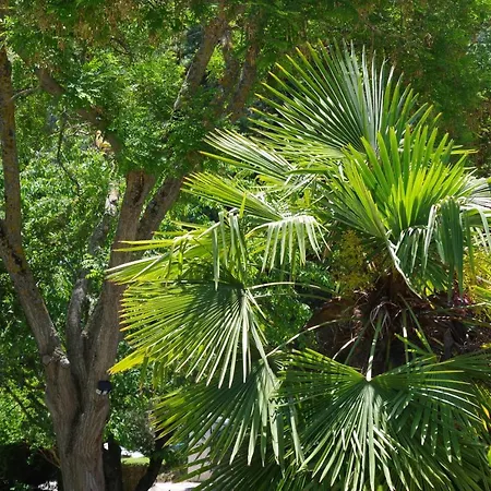 Konukevi Les D Hotes De Au Pays Des Lavandes Et Proche Des Gorges Du Verdon Valensole
