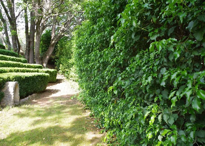 Les D Hotes De Au Pays Des Lavandes Et Proche Des Gorges Du Verdon Валансоль