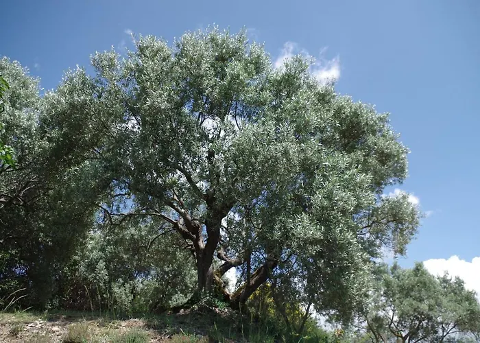 Гостевой дом Les D Hotes De Au Pays Des Lavandes Et Proche Des Gorges Du Verdon