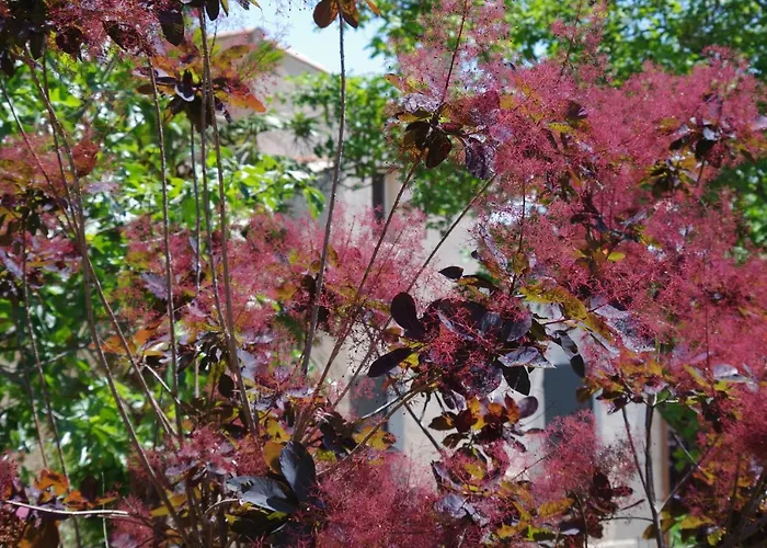 Les D Hotes De Au Pays Des Lavandes Et Proche Des Gorges Du Verdon Гостевой дом 3*
