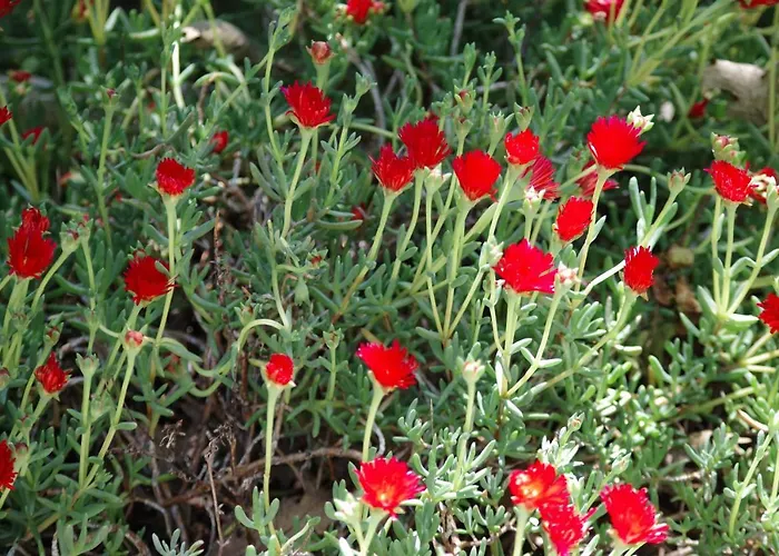 Les D Hotes De Au Pays Des Lavandes Et Proche Des Gorges Du Verdon