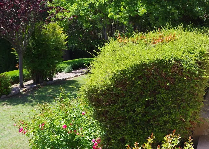 Les D Hotes De Au Pays Des Lavandes Et Proche Des Gorges Du Verdon Гостевой дом
