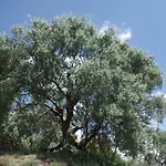 招待所 Les D Hotes De Au Pays Des Lavandes Et Proche Des Gorges Du Verdon
