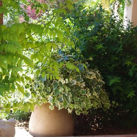 Les D Hotes De Au Pays Des Lavandes Et Proche Des Gorges Du Verdon Guest house