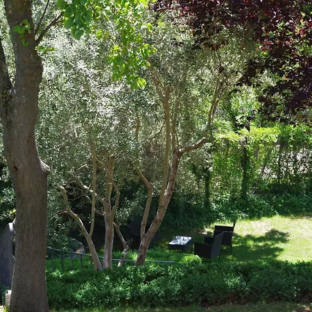 Pensjonat Les D Hotes De Au Pays Des Lavandes Et Proche Des Gorges Du Verdon 3*