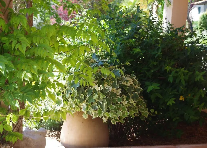 Les D Hôtes De Au Pays Des Lavandes Et Proche Des Gorges Du Verdon Maison d'hôtes